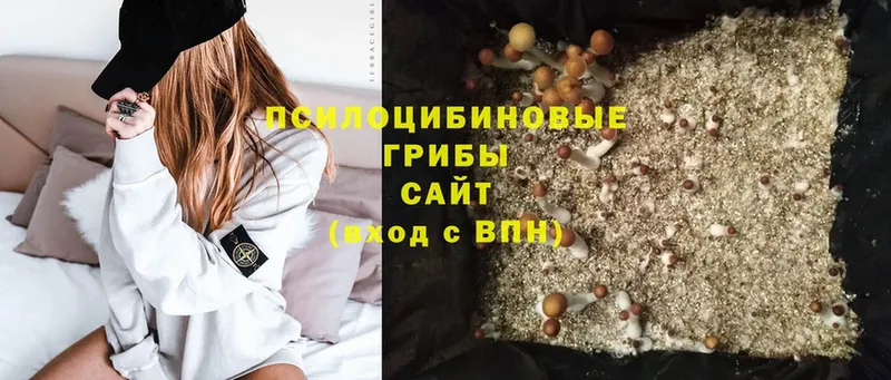 Псилоцибиновые грибы MAGIC MUSHROOMS  где купить наркоту  Белогорск 